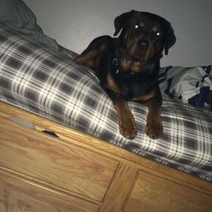 Meet your Posher, Kyle